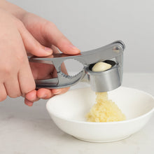 2 in1 Garlic Masher Premium Garlic Press & Walnut Cracker Opener (1 Pc)